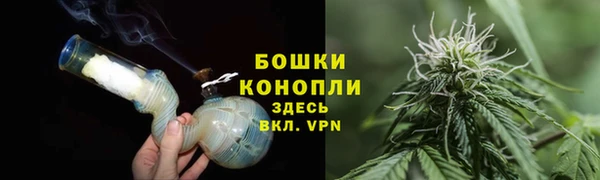 прущие грибы Волосово